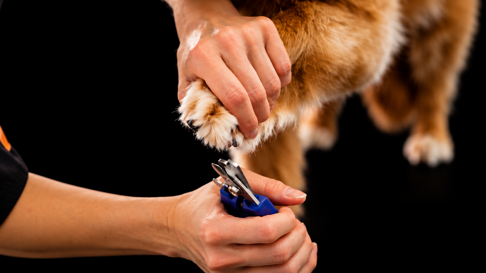 Nails being trimmed